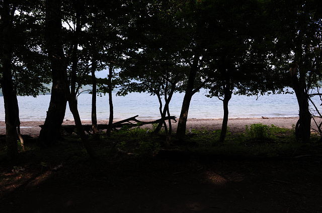 f0222161_18323468.jpg