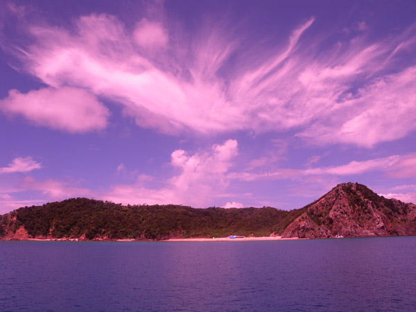 b0062363_2233316.jpg