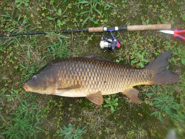 f0129864_12103184.jpg