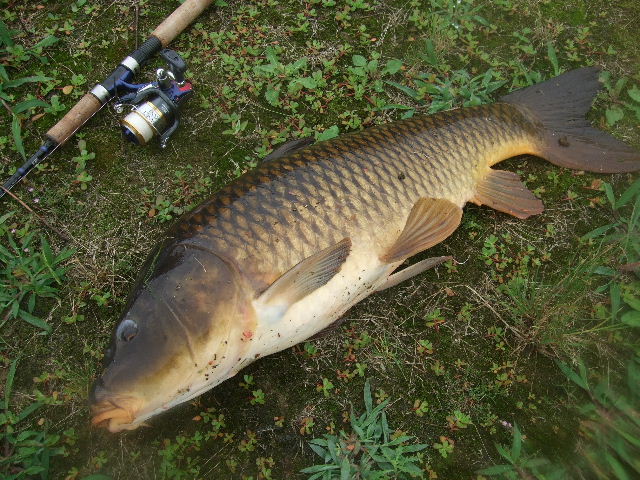 f0129864_12104930.jpg