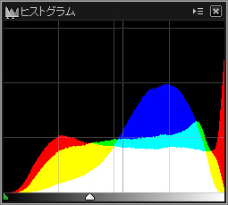 c0168669_11115820.jpg