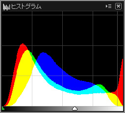 c0168669_1184447.jpg