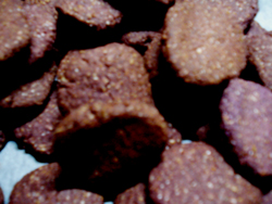 f0204069_853479.jpg