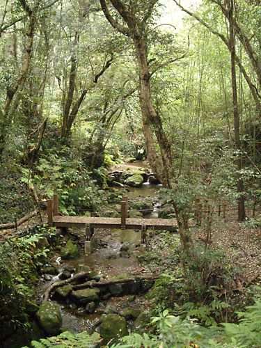 e0097770_0123353.jpg