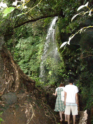 e0097770_0134683.jpg