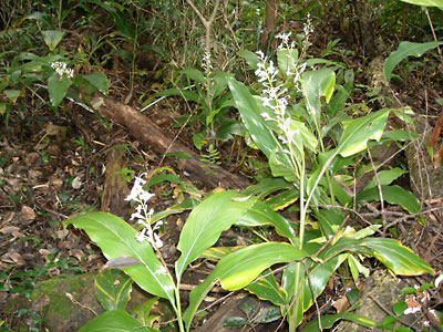 e0097770_0161558.jpg