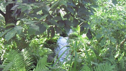 e0143671_1462927.jpg