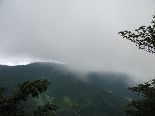d0126573_6435693.jpg