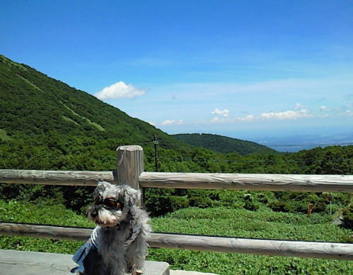 f0145575_12111251.jpg