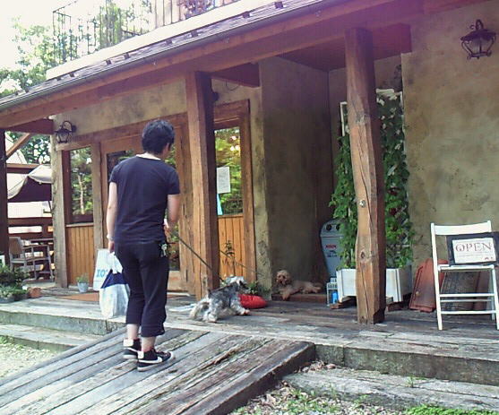 f0145575_1272125.jpg