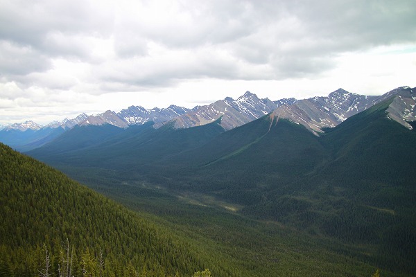 f0238184_2259185.jpg