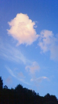 a0130586_20561987.jpg