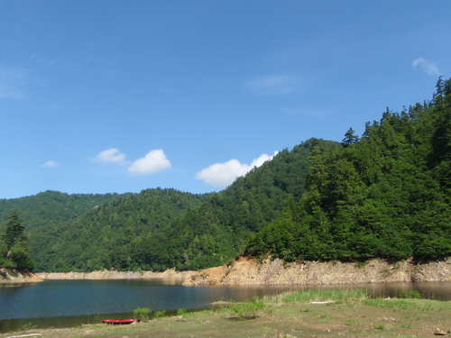d0165689_052763.jpg