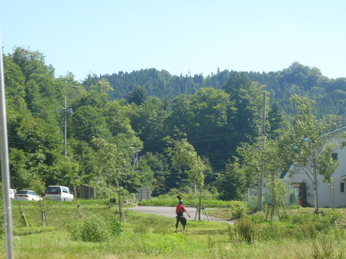 d0165689_112385.jpg