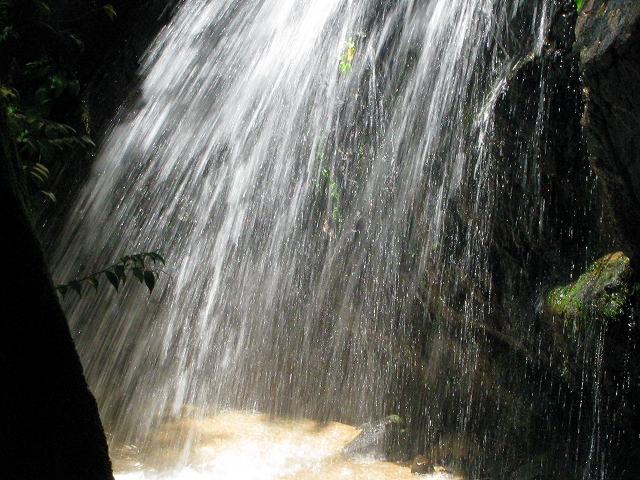 f0181394_14562712.jpg