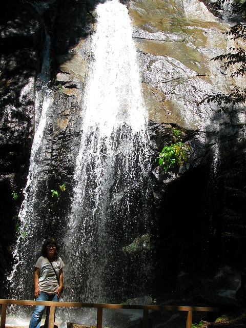 f0181394_14574959.jpg
