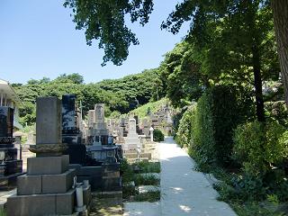 c0187298_2054315.jpg