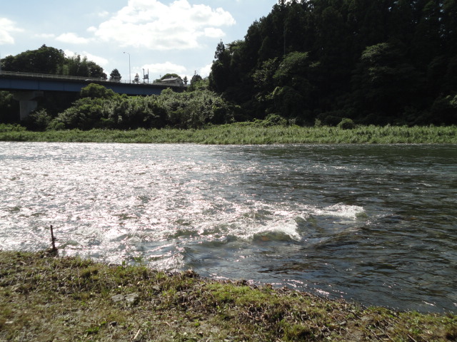 d0164100_1341169.jpg