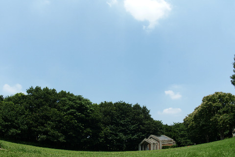 a0117102_21523823.jpg