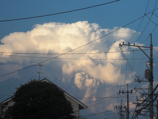 a0060806_2146684.jpg