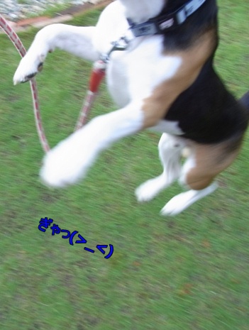 c0205806_16285179.jpg