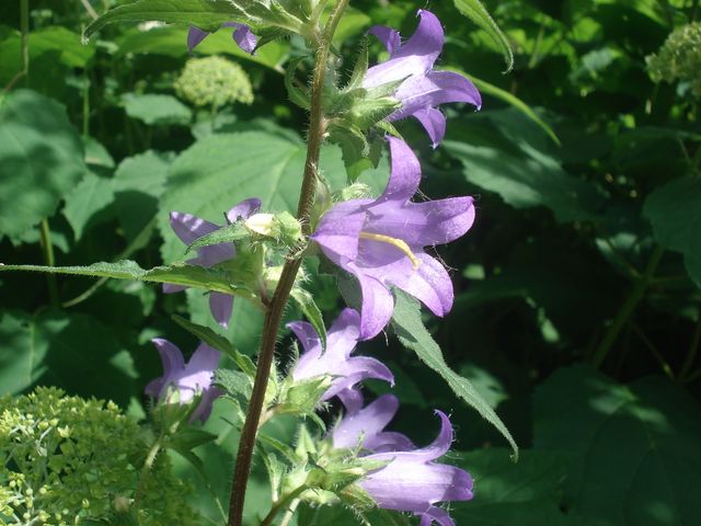 f0084806_10535223.jpg