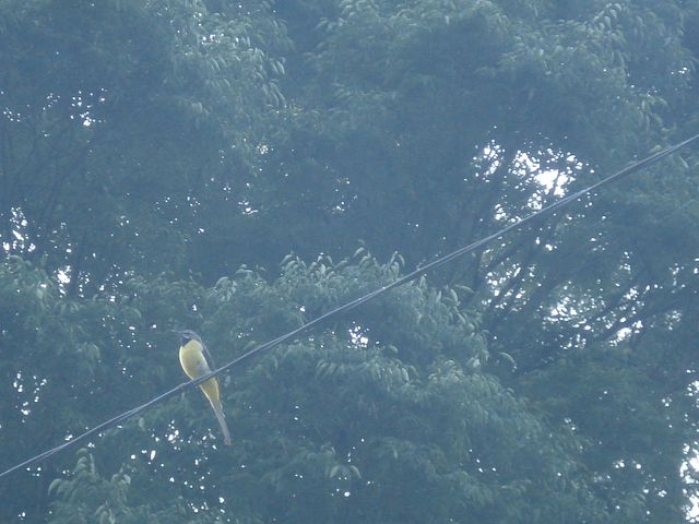 f0084806_7343450.jpg