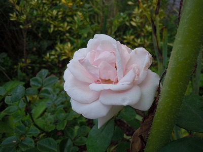 c0117007_2137918.jpg