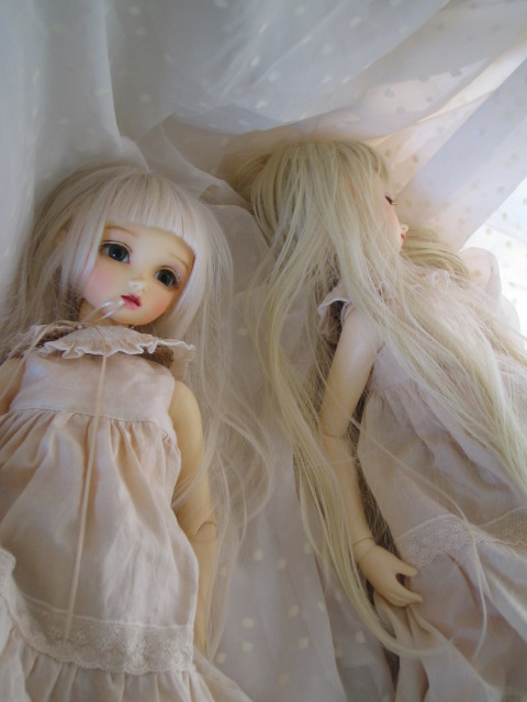 d0101907_042925.jpg