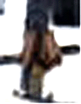 e0103408_13205376.gif