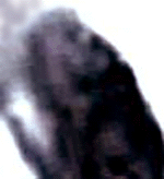 e0103408_13213752.gif