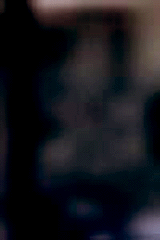 e0103408_13275913.gif
