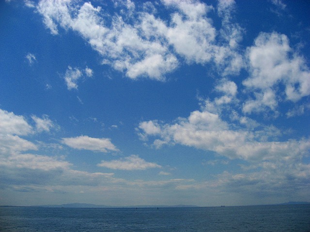 d0170119_8124397.jpg
