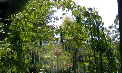 d0024220_1221566.jpg