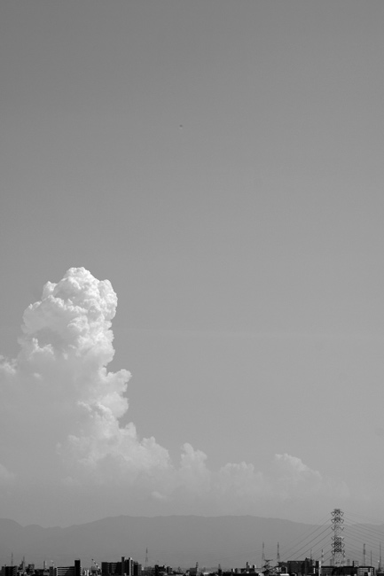 a0145825_22223732.jpg