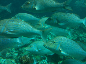 f0229926_21241665.jpg