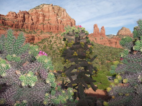 f0238932_822778.jpg
