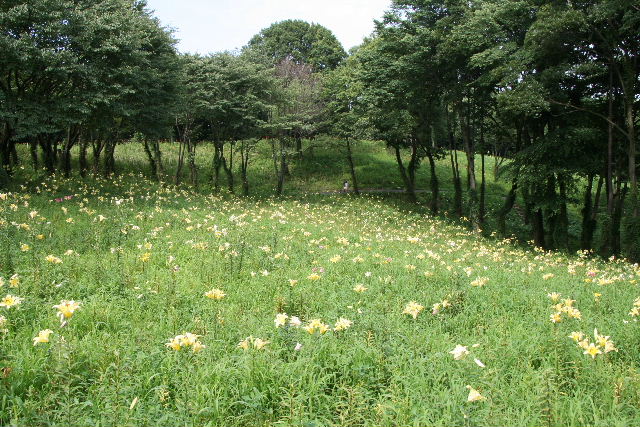 e0064133_2346131.jpg