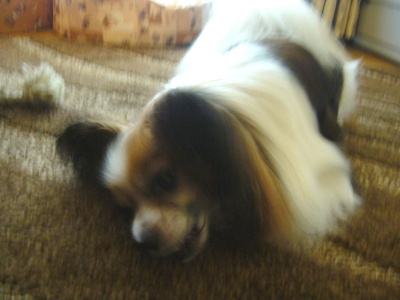 e0100046_15215136.jpg