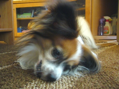 e0100046_15221336.jpg