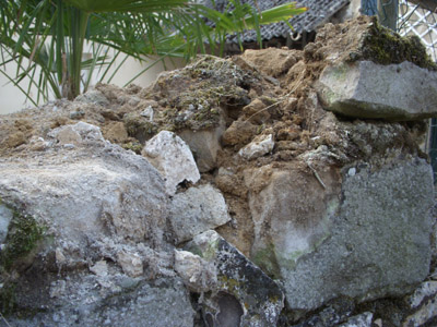 b0069848_21575573.jpg