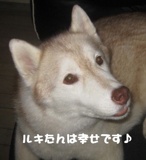 e0121548_21591977.jpg