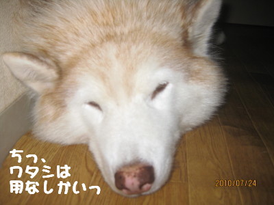 e0121548_2219726.jpg