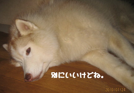 e0121548_2221432.jpg