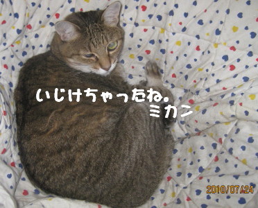 e0121548_22235893.jpg
