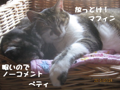 e0121548_22302512.jpg