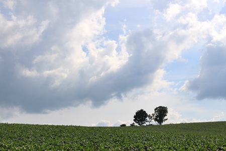 a0048852_935472.jpg