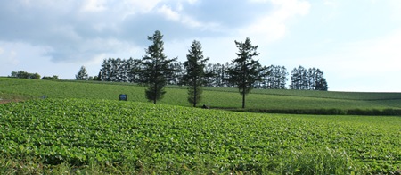 a0048852_9375990.jpg
