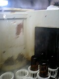 d0007957_8365622.jpg