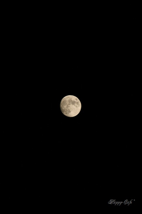 a0167759_23393731.jpg